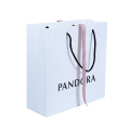 Shopping Bag Customized Paper Shopping Bag/Paper Bag with Ribbon